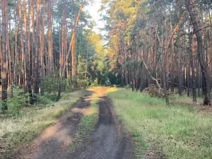 Prodej rodinného domu, Lhota, Nová, 234 m2
