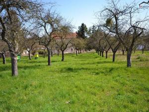 Prodej zahrady, Bučovice, 363 m2