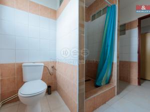 Pronájem bytu 3+kk, Horní Slavkov, Dlouhá, 56 m2