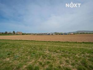 Prodej komerčního pozemku, Zábřeh, Lesnická, 16000 m2