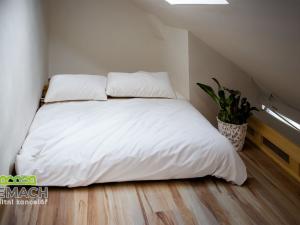 Pronájem atypického bytu, Dvůr Králové nad Labem, Havlíčkova, 55 m2