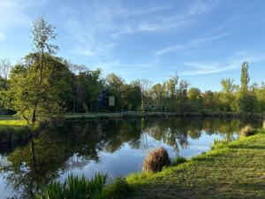 Pronájem bytu 2+kk, Praha - Hloubětín, Nademlejnská, 54 m2