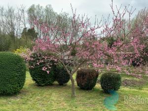 Prodej zahrady, Pardubice, 387 m2