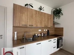 Pronájem bytu 1+kk, České Budějovice, Volejbalistů, 38 m2