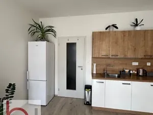 Pronájem bytu 1+kk, České Budějovice, Volejbalistů, 38 m2