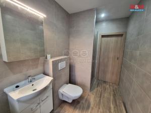 Pronájem bytu 1+1, Ostrava, Jindřichova, 60 m2