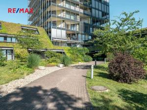 Pronájem bytu 5+kk, Praha - Žižkov, Pitterova, 254 m2