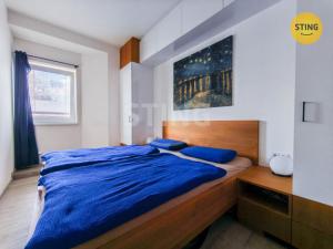 Prodej bytu 3+1, Jihlava, U Hlavního nádraží, 63 m2