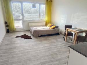 Pronájem bytu 1+kk, Olomouc - Nové Sady, Voskovcova, 38 m2