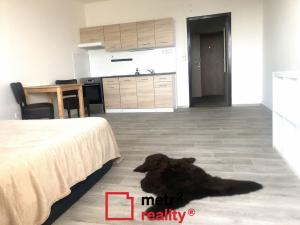 Pronájem bytu 1+kk, Olomouc - Nové Sady, Voskovcova, 38 m2