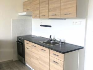 Pronájem bytu 1+kk, Olomouc - Nové Sady, Voskovcova, 38 m2