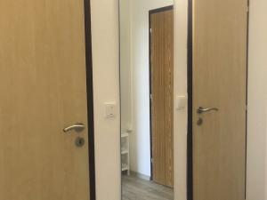 Pronájem bytu 1+kk, Olomouc - Nové Sady, Voskovcova, 38 m2