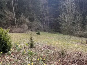Prodej chalupy, Rychnov u Jablonce nad Nisou, 130 m2