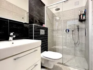Pronájem rodinného domu, Prostějov, Žitná, 380 m2