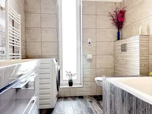 Pronájem rodinného domu, Prostějov, Žitná, 380 m2