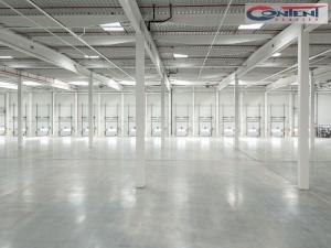 Pronájem výrobních prostor, Ostrava - Vítkovice, 16000 m2