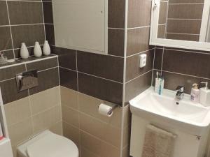 Pronájem bytu 2+1, Stříbro, Gagarinova, 53 m2