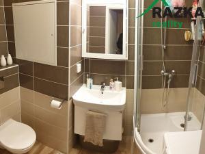 Pronájem bytu 2+1, Stříbro, Gagarinova, 53 m2