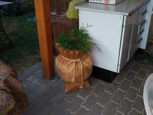 Prodej rodinného domu, Peruc, Spojovací, 80 m2