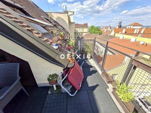 Pronájem bytu 3+kk, Brno, Husova, 115 m2