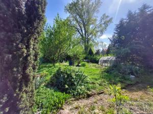 Prodej zahrady, Opava - Kylešovice, 698 m2