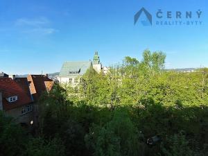 Pronájem bytu 1+1, Liberec, Americká, 29 m2