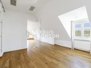 Pronájem bytu 6+kk a větší, Praha - Nové Město, Novomlýnská, 269 m2