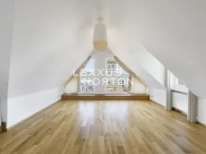 Pronájem bytu 6+kk a větší, Praha - Nové Město, Novomlýnská, 269 m2