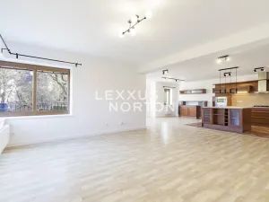 Pronájem rodinného domu, Praha - Přední Kopanina, Nové domy, 410 m2