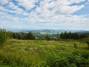 Prodej pozemku pro bydlení, Vyškovec, 2226 m2