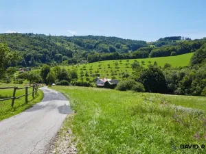 Prodej pozemku pro bydlení, Vyškovec, 2226 m2