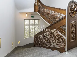 Pronájem kanceláře, Praha - Nové Město, Václavské náměstí, 534 m2