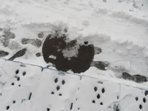 Dražba obchodního prostoru, Strážný, 10 m2