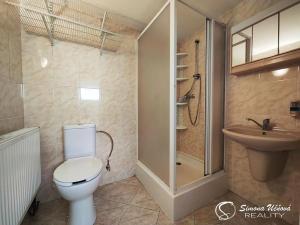 Prodej rodinného domu, Zbůch, Hornická, 339 m2