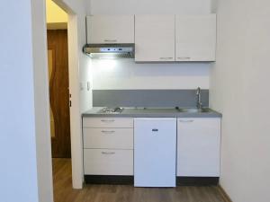 Pronájem bytu 1+kk, Plzeň, Radyňská, 26 m2