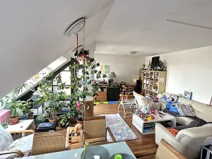 Pronájem bytu 3+kk, Brno, Husova, 115 m2