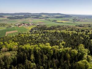 Prodej lesa, Brloh, 28851 m2
