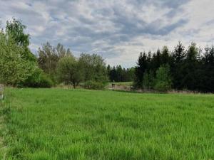 Prodej pozemku pro bydlení, Pohoří - Chotouň, 1092 m2