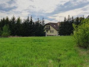 Prodej pozemku pro bydlení, Pohoří - Chotouň, 1092 m2