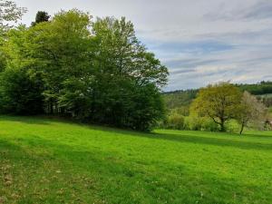 Prodej pozemku pro bydlení, Pohoří - Chotouň, 1092 m2