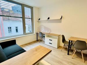 Pronájem bytu 1+kk, Praha - Smíchov, Plzeňská, 20 m2