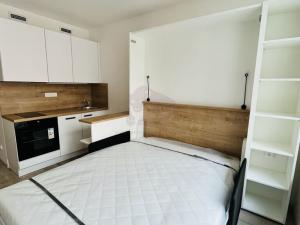 Pronájem bytu 1+kk, Praha - Smíchov, Plzeňská, 20 m2