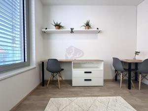 Pronájem bytu 1+kk, Praha - Smíchov, Plzeňská, 20 m2
