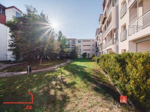 Pronájem bytu 1+kk, Plzeň, Mutěnická, 62 m2