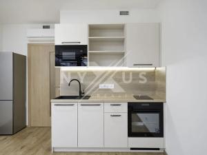 Pronájem bytu 1+kk, Praha - Žižkov, Tetauerova, 30 m2