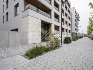 Pronájem bytu 1+kk, Praha - Žižkov, Tetauerova, 30 m2
