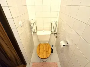 Pronájem bytu 3+kk, Brno, Husova, 115 m2