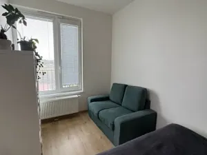 Pronájem bytu 1+kk, Praha - Žižkov, Olgy Havlové, 38 m2