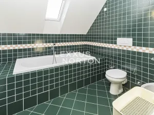 Pronájem bytu 4+1, Praha - Vinohrady, Anny Letenské, 110 m2