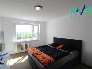 Prodej bytu 4+1, Ostrov, Lidická, 87 m2